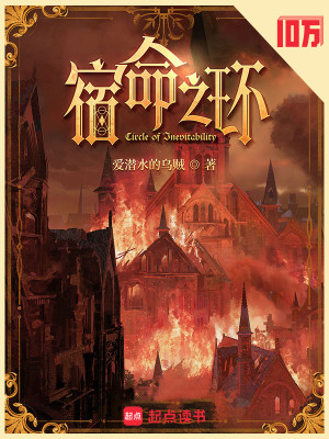 宿命之环 封面